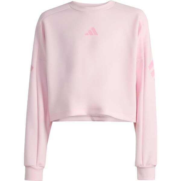 ADIDAS SPORTSWEAR Mikina ružová / staroružová 67183711