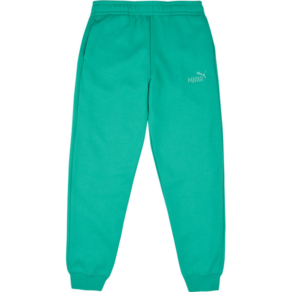 Puma Tepláky/Vrchné oblečenie ESS No.1 Logo Sweatpants FL Puma 67231919