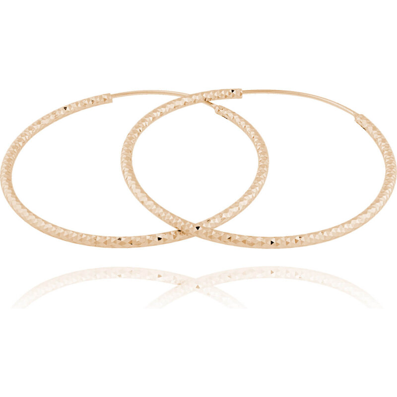 JVD Pozlátené strieborné náušnice kruhy SVLE0216XD5RO 4,5 cm 66581483