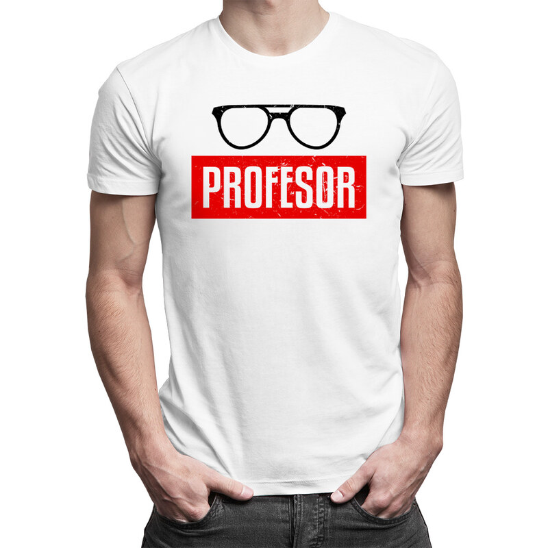 E-shop Garibald Profesor - pánske tričko s potlačou