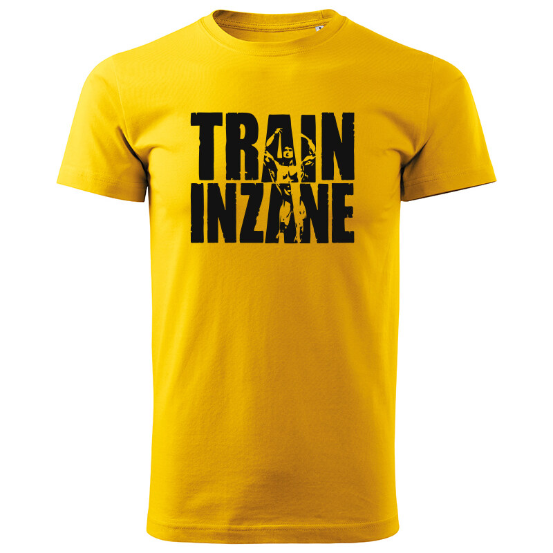 T-ričko Train Inzane pánske tričko 20672223