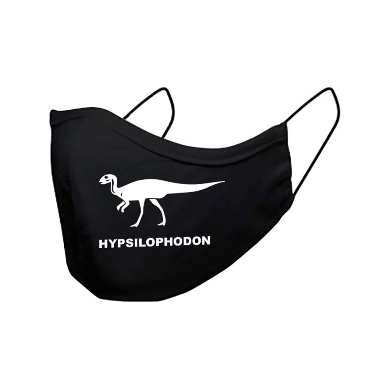 T-ričko Hypsilophodon, detské rúško 3-vrstvové s gumou 21385593