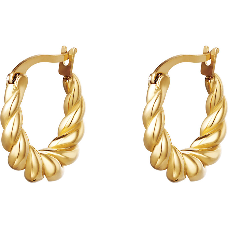 Dámske náušnice z chirurgickej ocele RAELYN 24507233