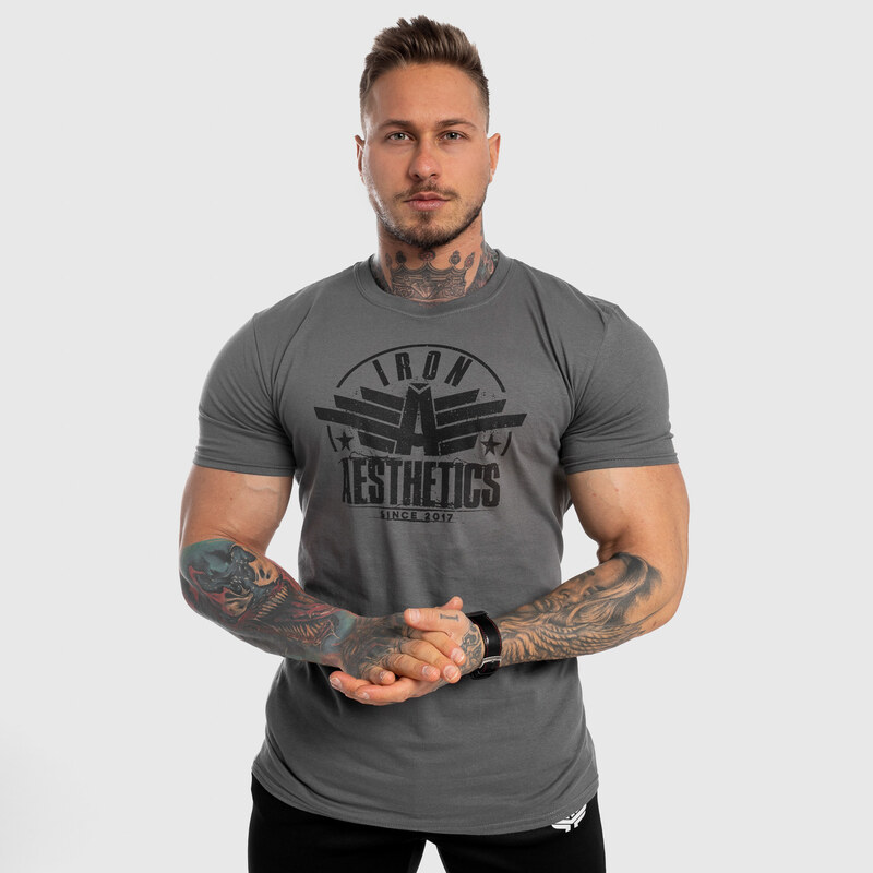 Pánske fitness tričko Iron Aesthetics Force, sivé
