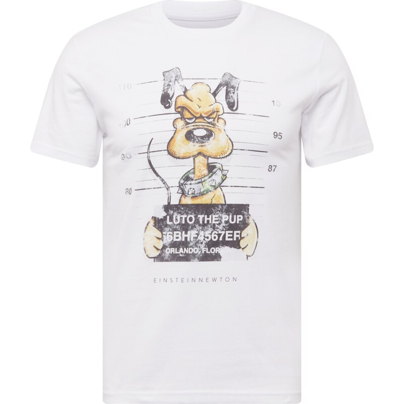 EINSTEIN & NEWTON Tričko koňaková / svetlosivá / trávovo zelená / 62681352