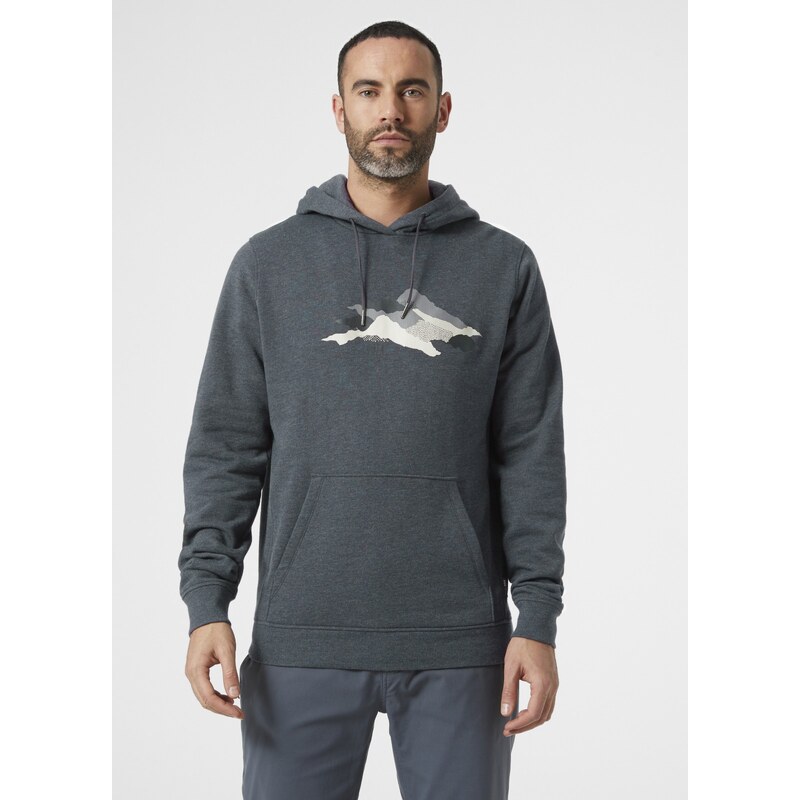 Helly Hansen F2F Organic Cotton Hoodie SLATE 27109156