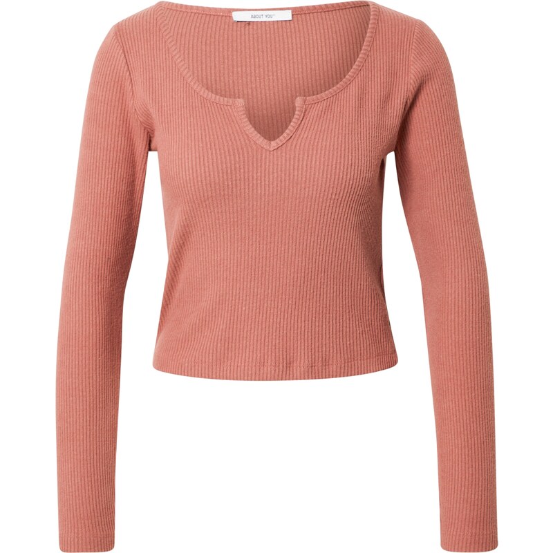 ABOUT YOU Tričko Remy hrdzavohnedá 54227197