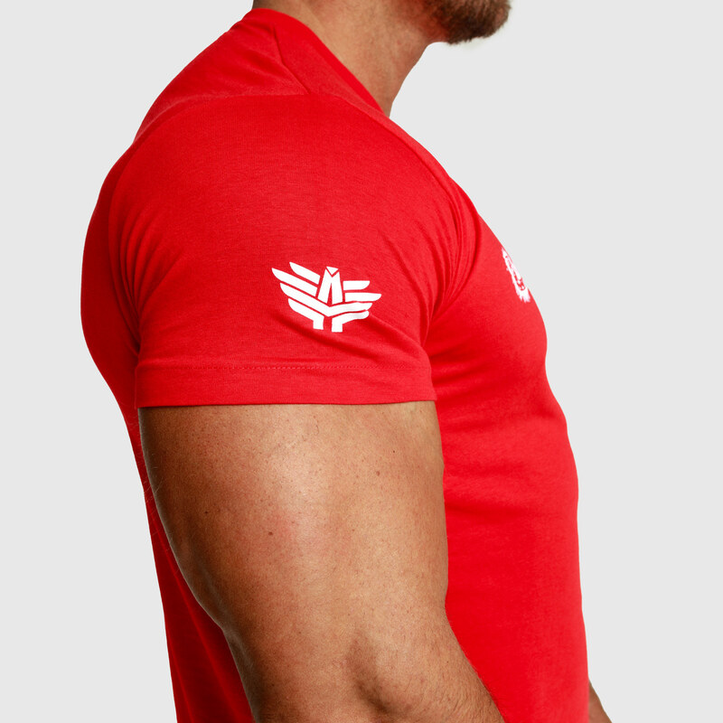 Pánske fitness tričko Iron Aesthetics Unbroken, červené