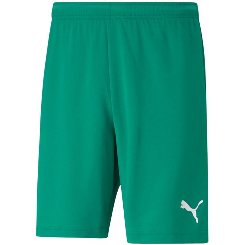 Pánske teamRISE Short M 704942 05 - Puma 28004931