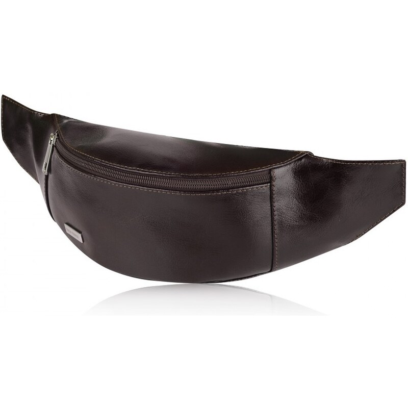 Kožená pánska ľadvinka PAOLO PERUZZI Z-20-BR 28242127