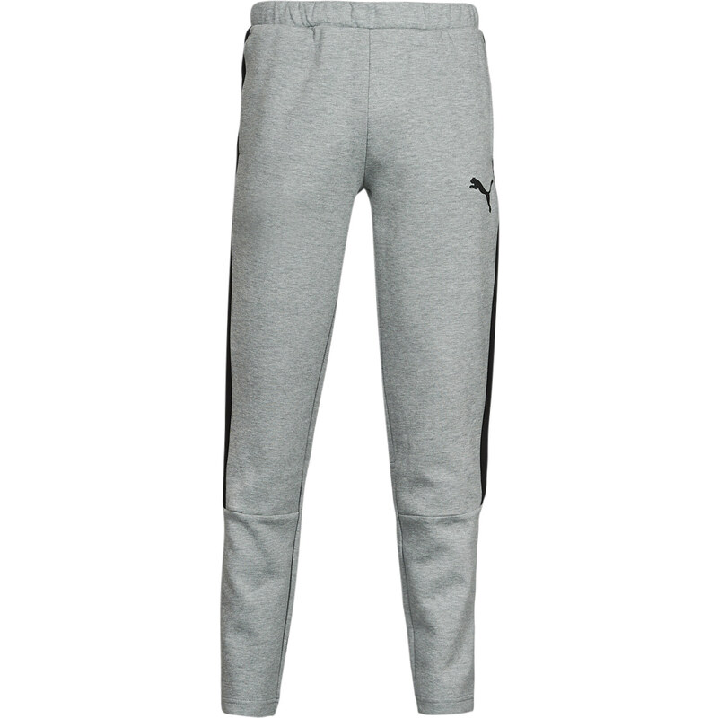 Puma Tepláky/Vrchné oblečenie EVOSTRIPE CORE FZ PANT Puma 62489689