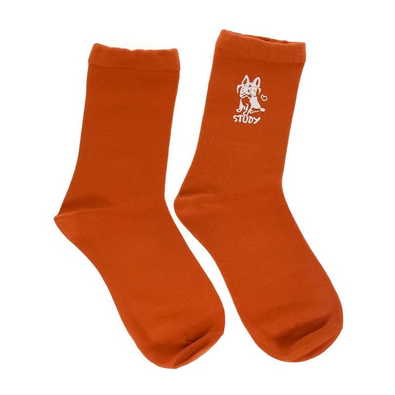 AURA.VIA Dámske oranžové ponožky STUDY 28809443