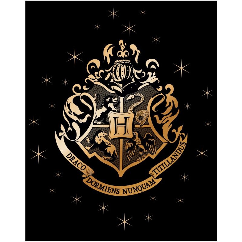 E plus M Fleecová deka Harry Potter so zlatým erbom Rokfortu - nano coral 220 gr./m² - 120 x 150 cm