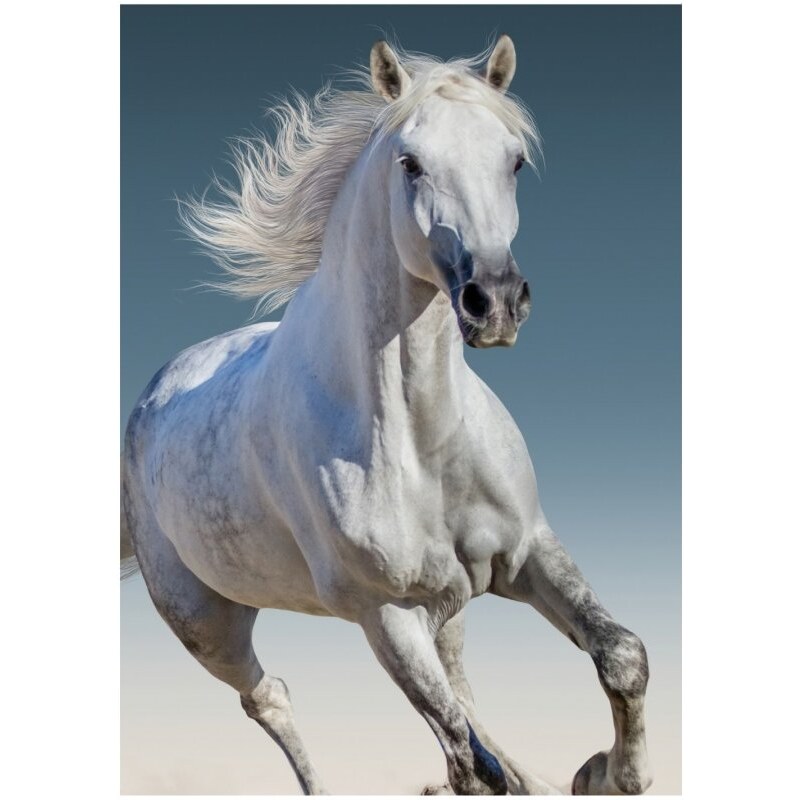 BrandMac Fleecová deka Biely kôň v cvale - 100 x 140 cm
