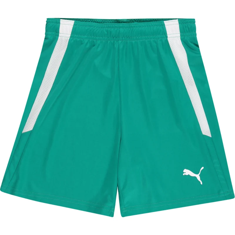 PUMA Športové nohavice TeamLiga nefritová / biela 67853370