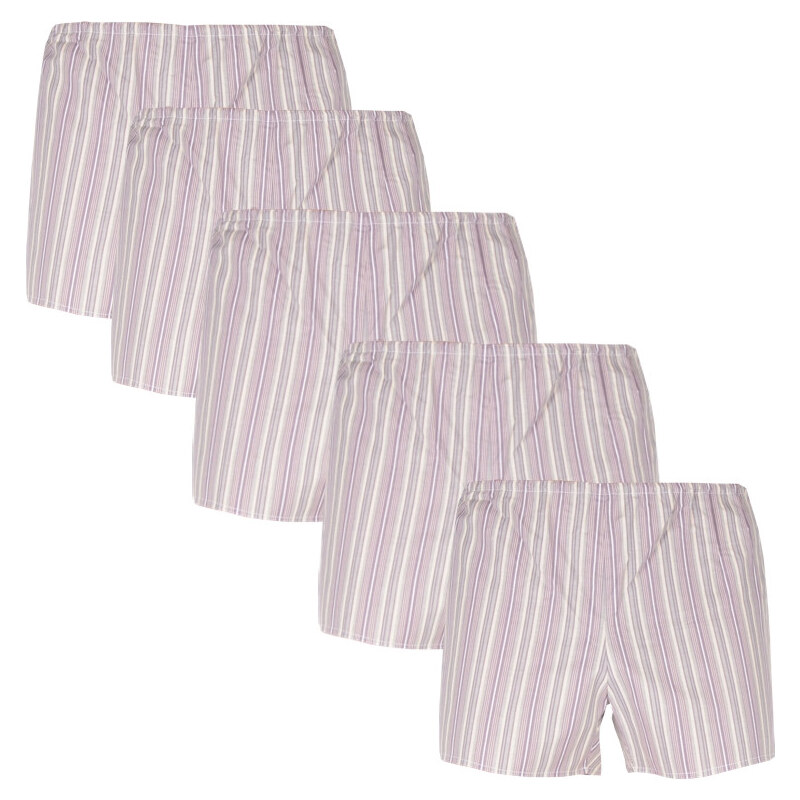 5PACK klasické pánske trenky Foltýn hnedé s prúžkami 31135486