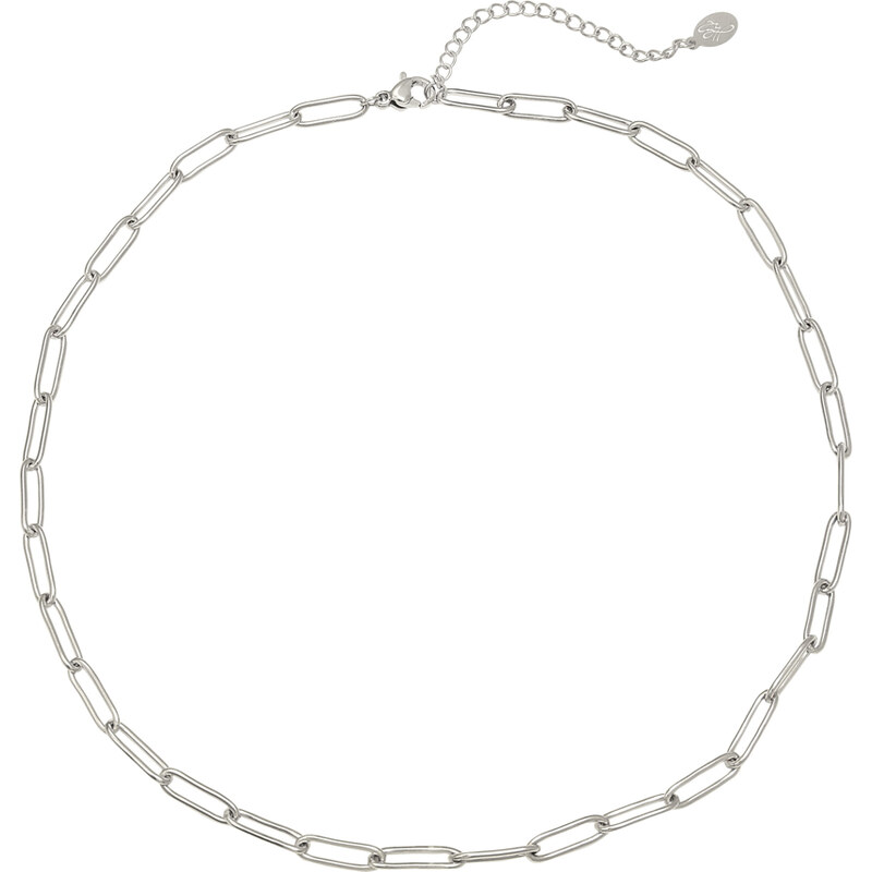Dámsky náhrdelník z chirurgickej ocele EMMY 64405012