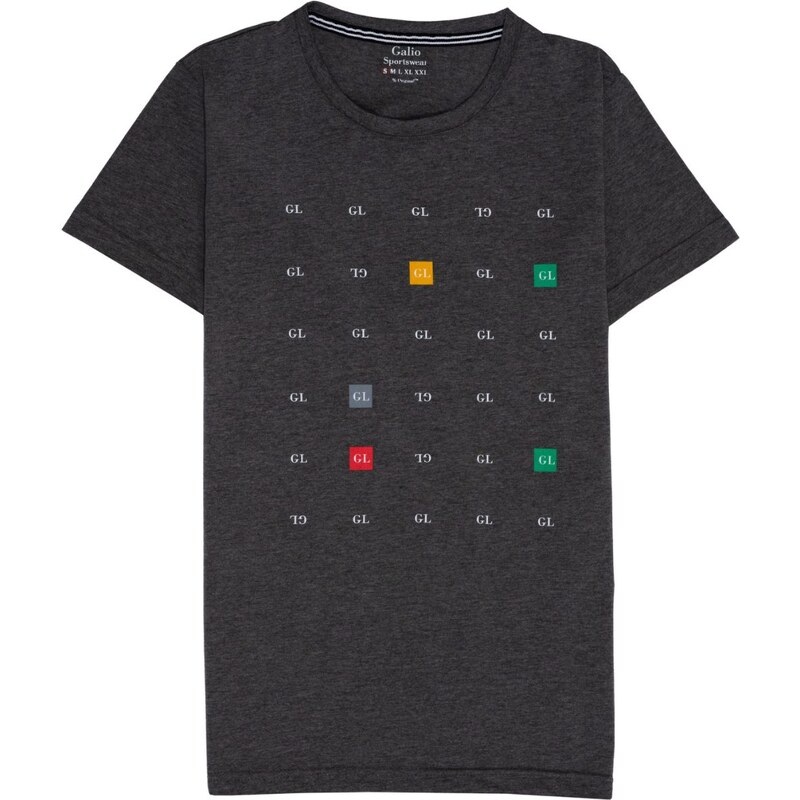 GALIO GL Gray tričko 32190506