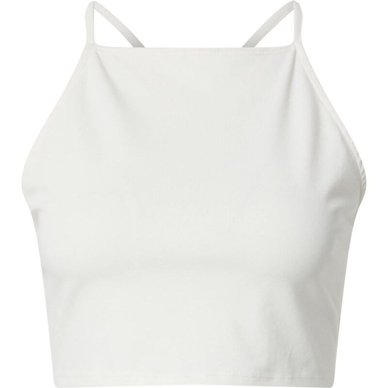 EDITED Top Begonia žltá 32661364