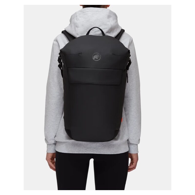 Mammut Seon Courier 20 black