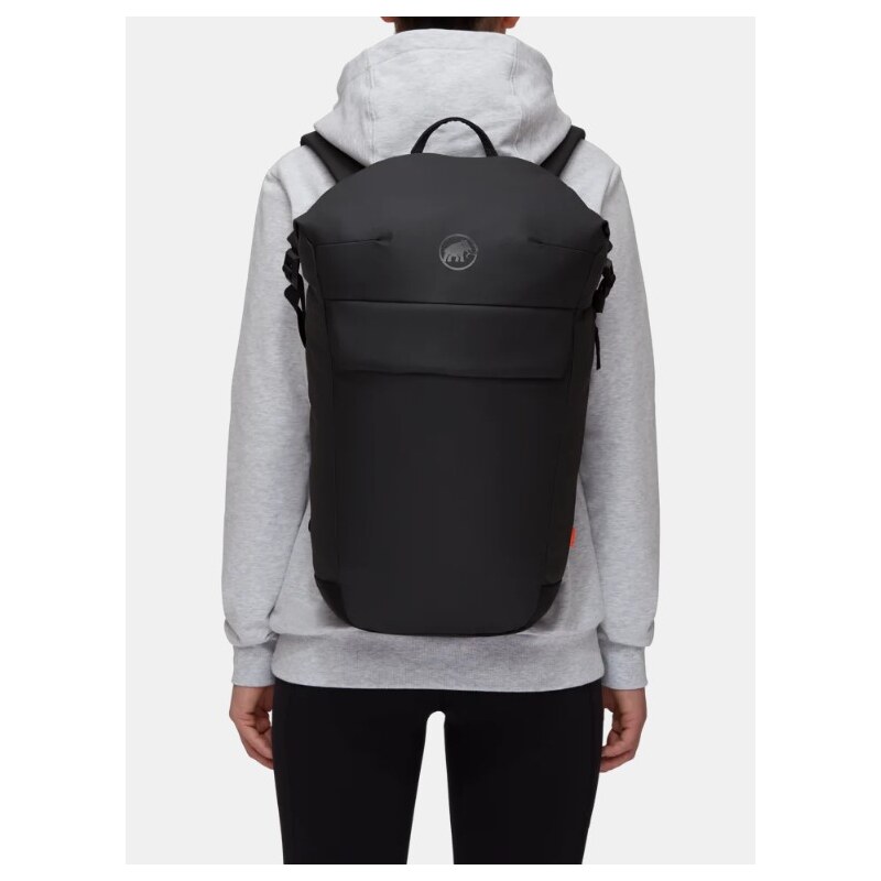 Mammut Seon Courier 20 black