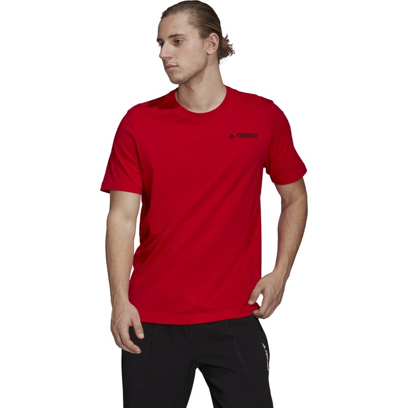 adidas Performance adidas Terrex Mountain Graphic T-Shirt VIVRED 34364604