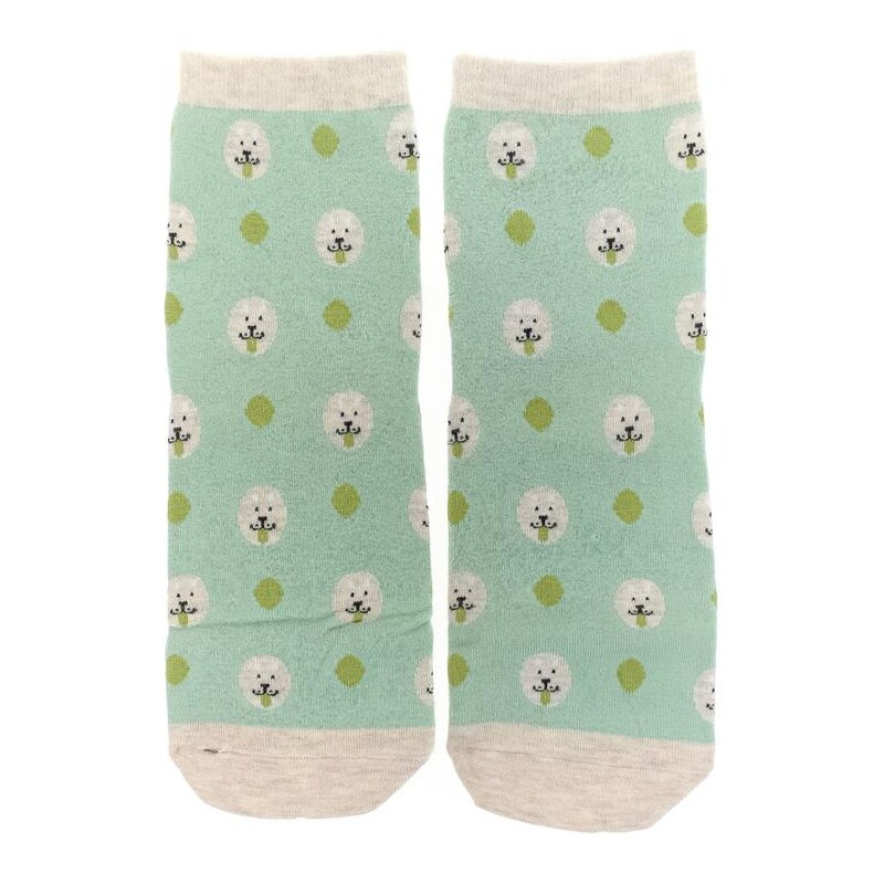 AURA.VIA Zelené ponožky ANI 34457716