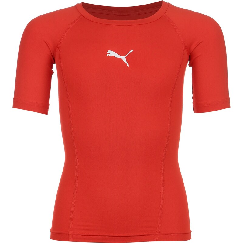 PUMA Športová spodná bielizeň červená / strieborná 67727811