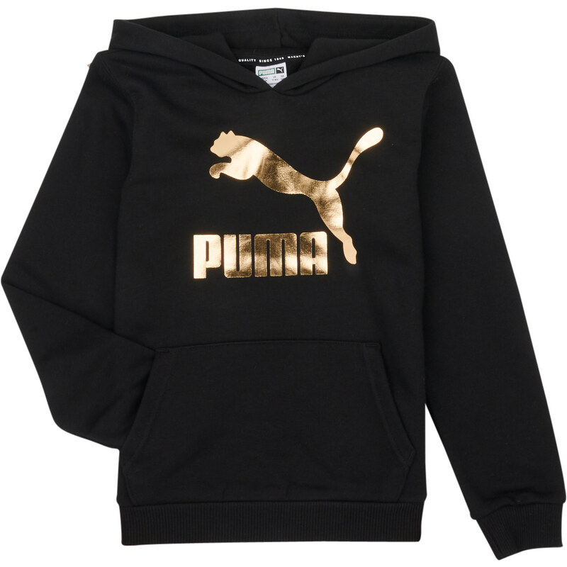 Puma Mikiny CLASSICS LOGO HOODIE Puma 62492773
