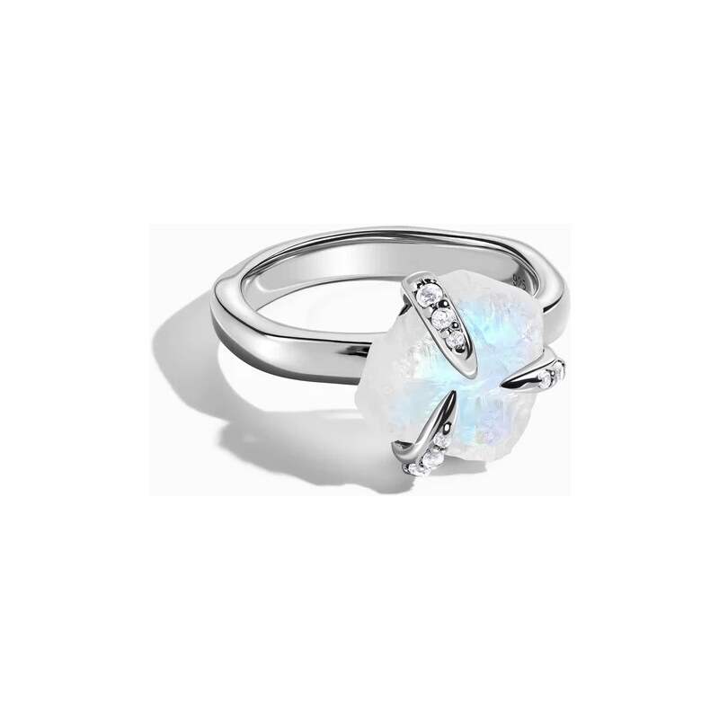 Royal Exklusive Royal Fashion stříbrný prsten GU-DR21589R-SILVER 45456996