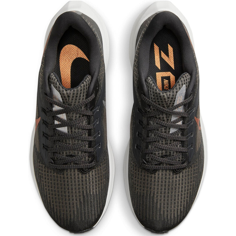 Bežecké topánky Nike Air Zoom Pegasus 39 dh4072-007