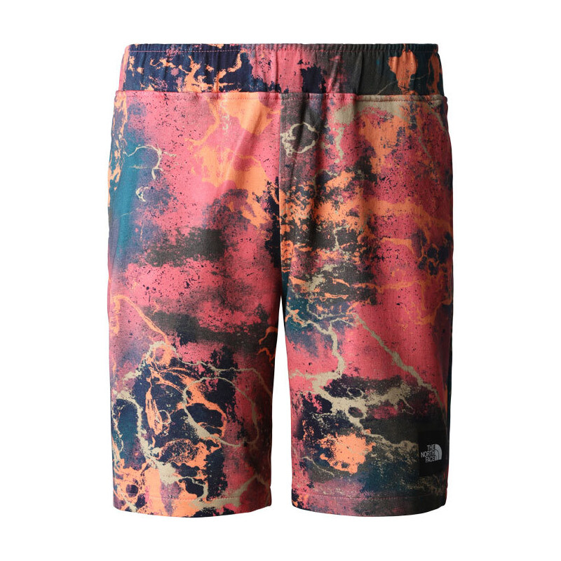 The North Face M Summer Logo Shorts - Pánske - Nohavice The North Face 66356901