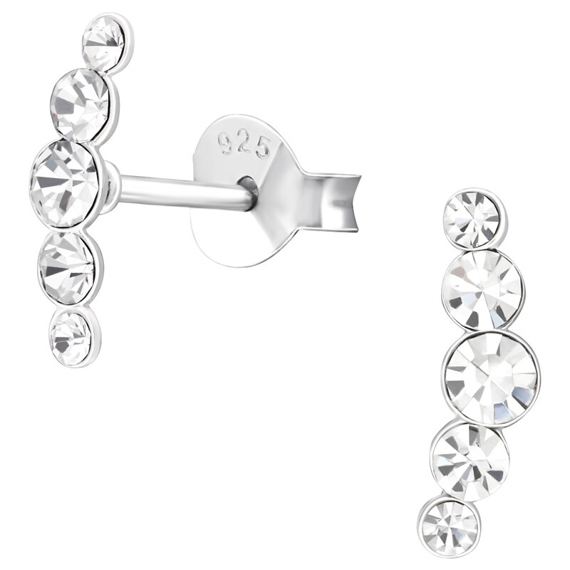 Dámske strieborné náušnice FIVEDOTA 40893633