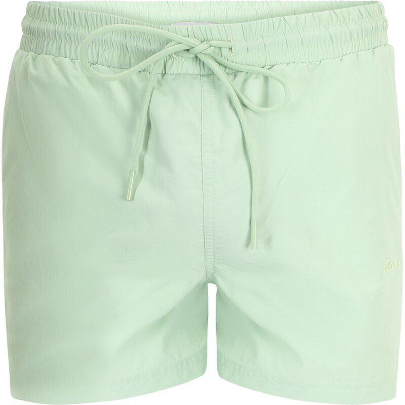 Sinned x ABOUT YOU Plavecké šortky ALEJANDRO mätová 41385794