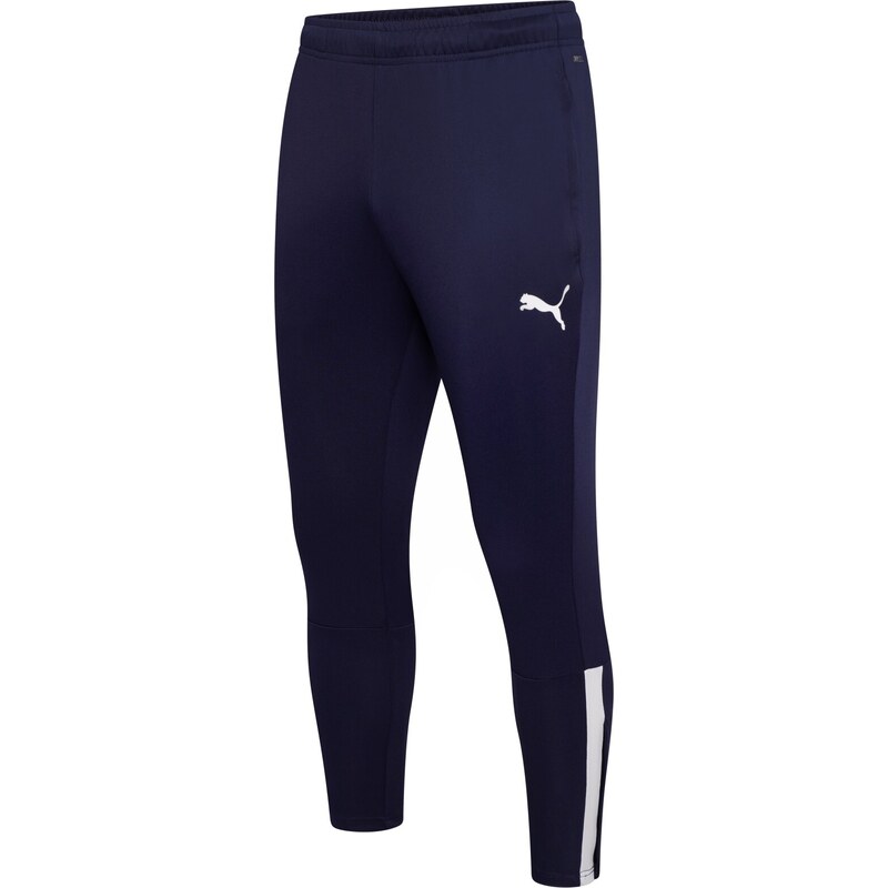 Puma teamLIGA Training Pants blue 41529927