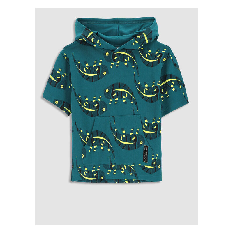 Mikina Coccodrillo 42110831