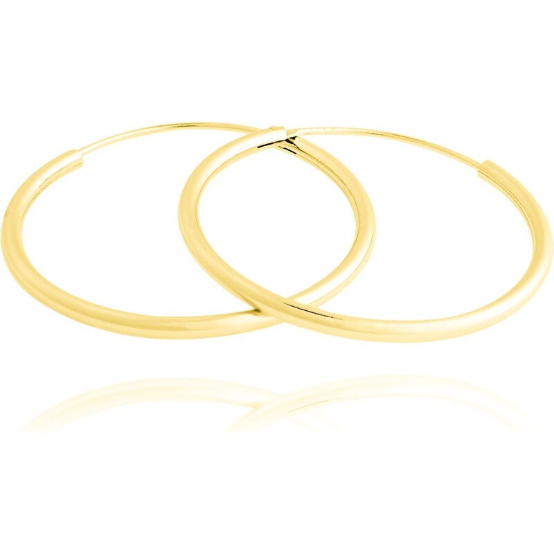 JVD Nadčasové pozlátené okrúhle náušnice SVLE0208XD5GO 4 cm 66579163