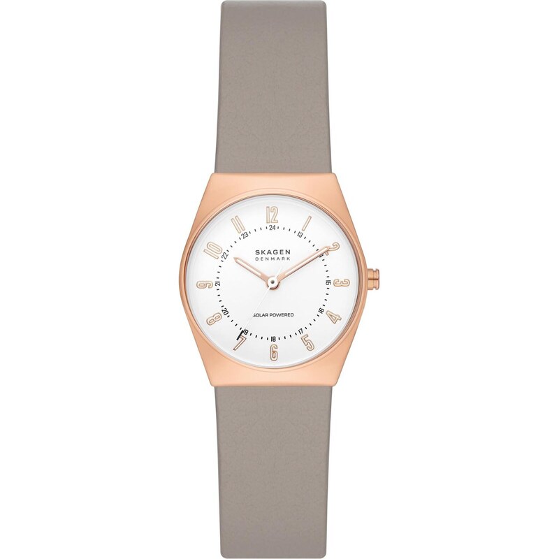 Hodinky Skagen 45316621