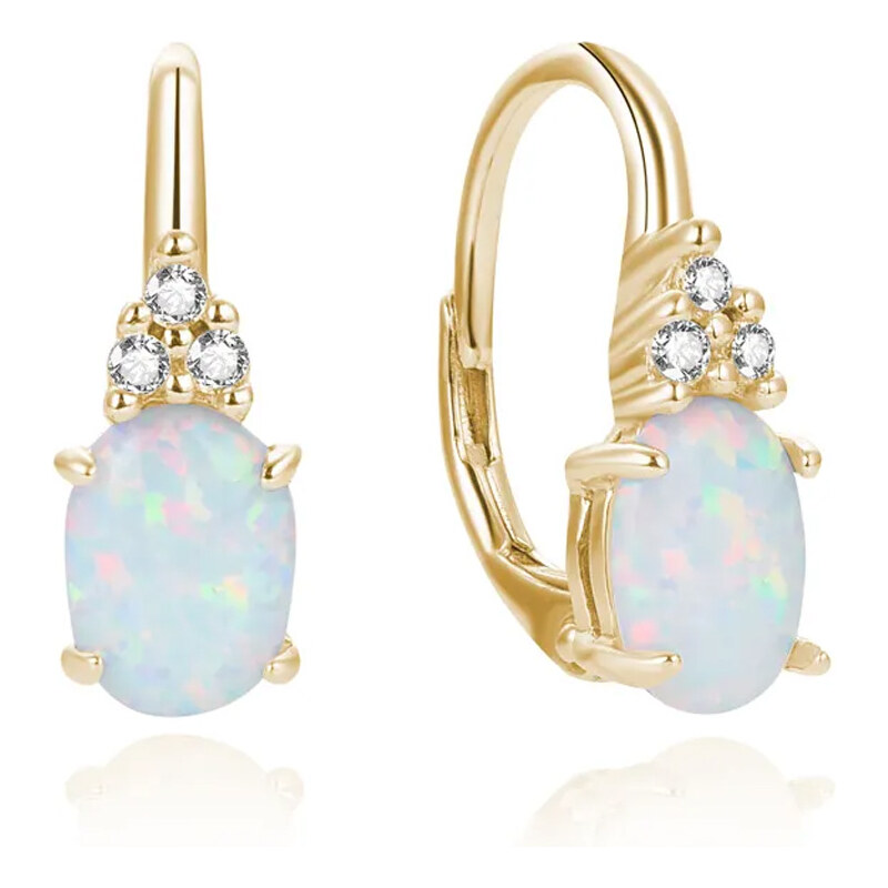 Dámske strieborné náušnice FOSTERA 43719773