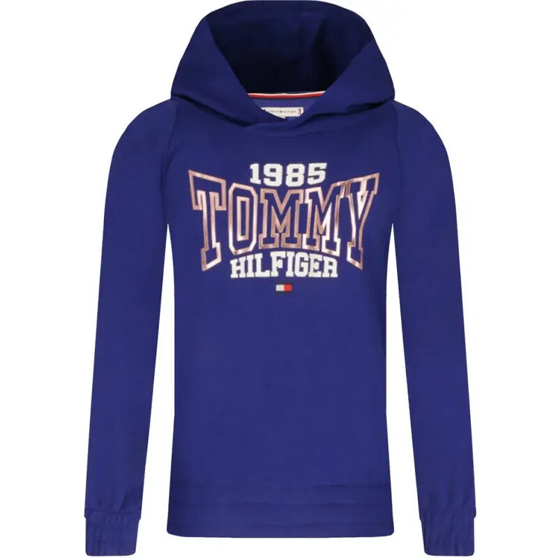 Tommy Hilfiger Mikina | Regular Fit 43908403