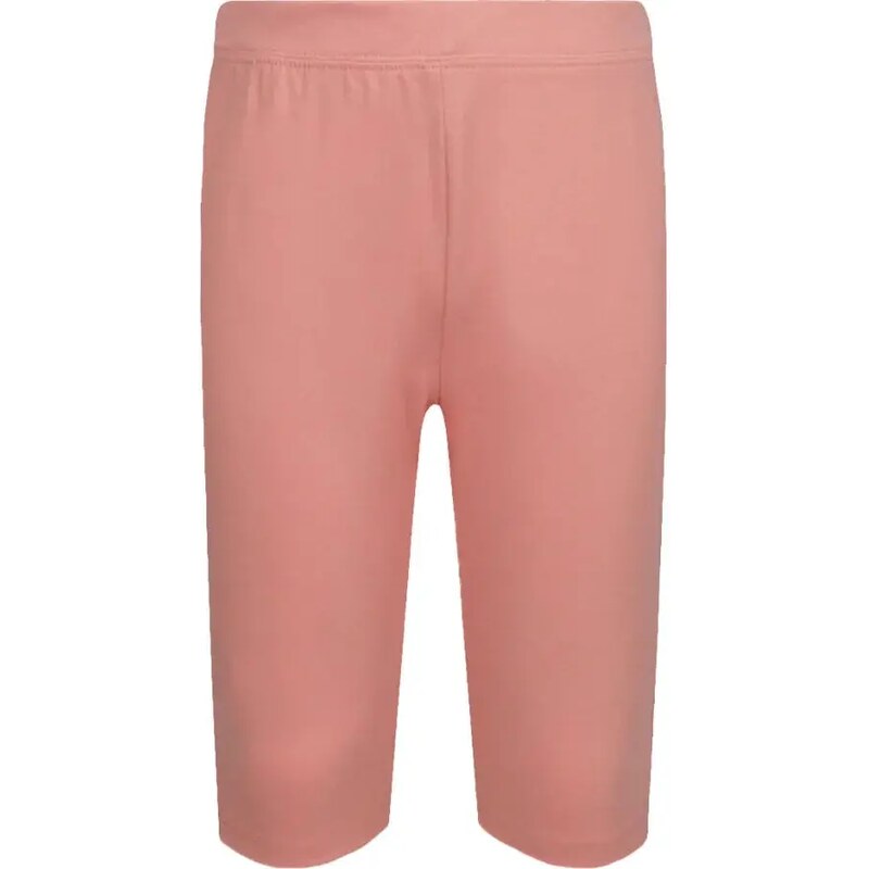 GUESS ACTIVE Šortky | Regular Fit 29853757