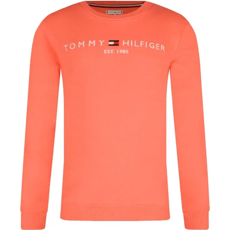 Tommy Hilfiger Mikina | Regular Fit 44020946