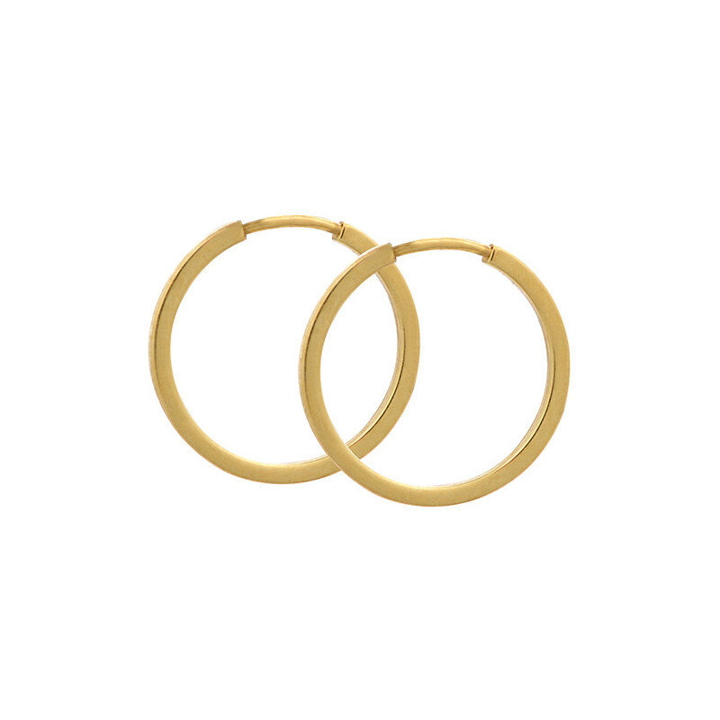 Soliter Zlaté náušnice kruhy 231 001 00199 66591838