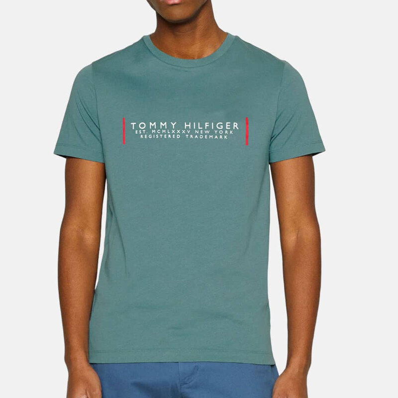Pánské triko Tommy Hilfiger 55450 44747768
