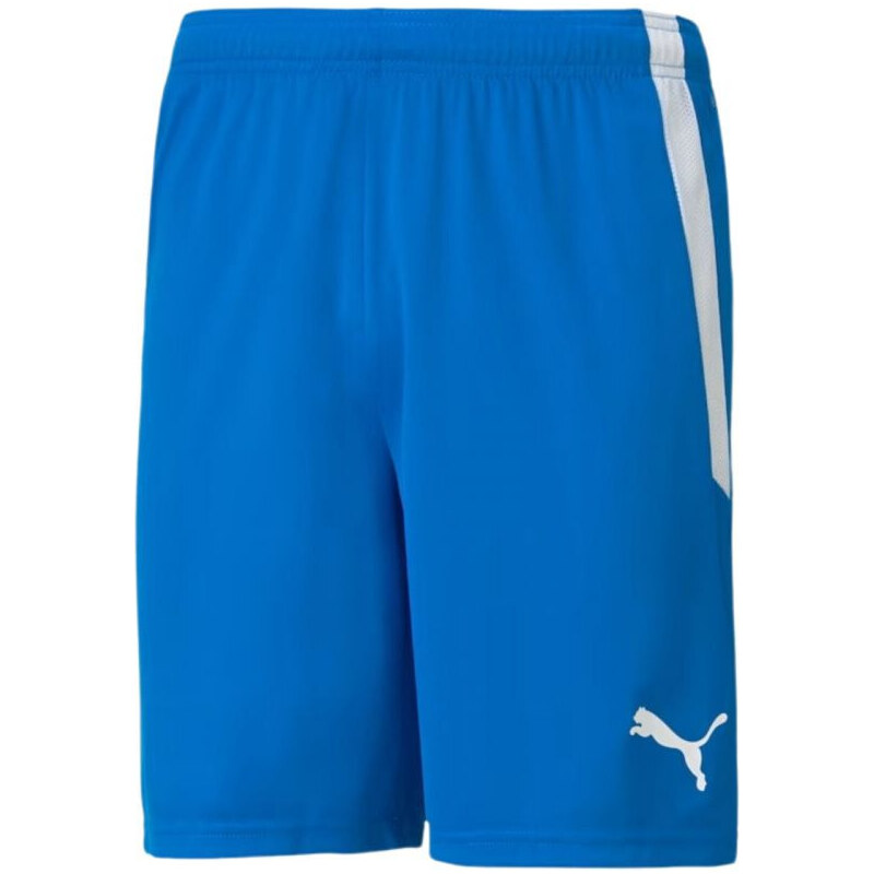 Šortky Puma teamLIGA M 704924 02 49764313