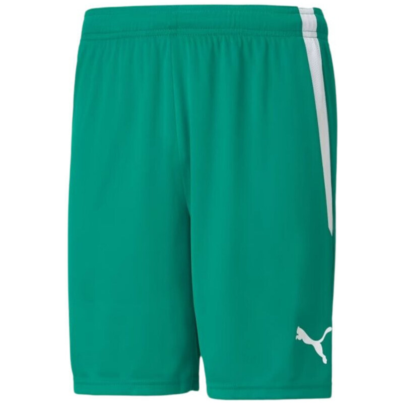 Šortky Puma teamLiga M 704924 05 49764434