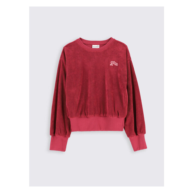 Mikina Coccodrillo 45019473