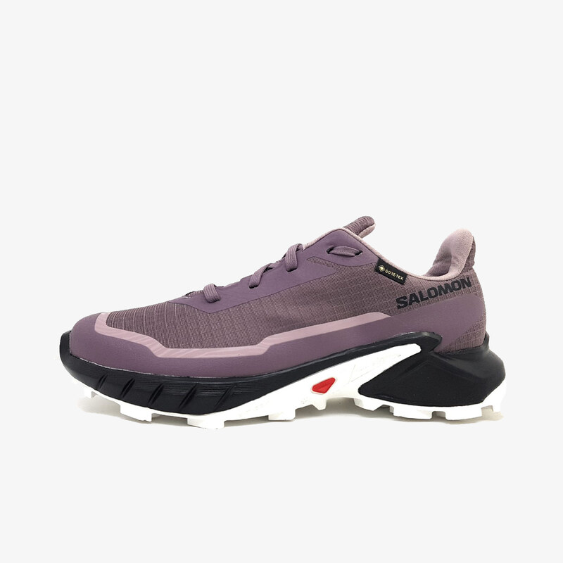 Salomon ALPHACROSS 5 GTX W EUR 36 2/3 62360055