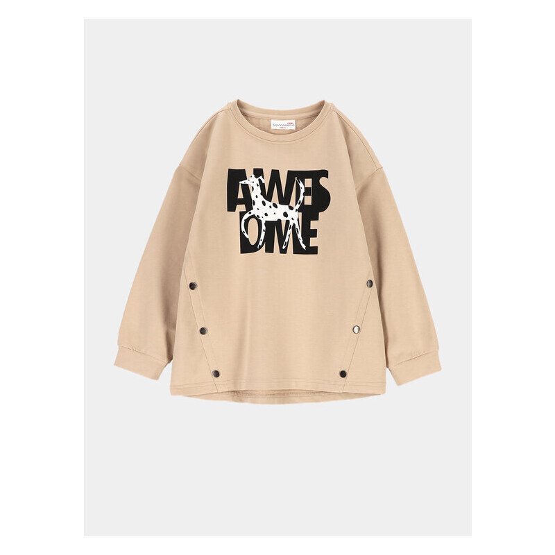 Mikina Coccodrillo 45203453