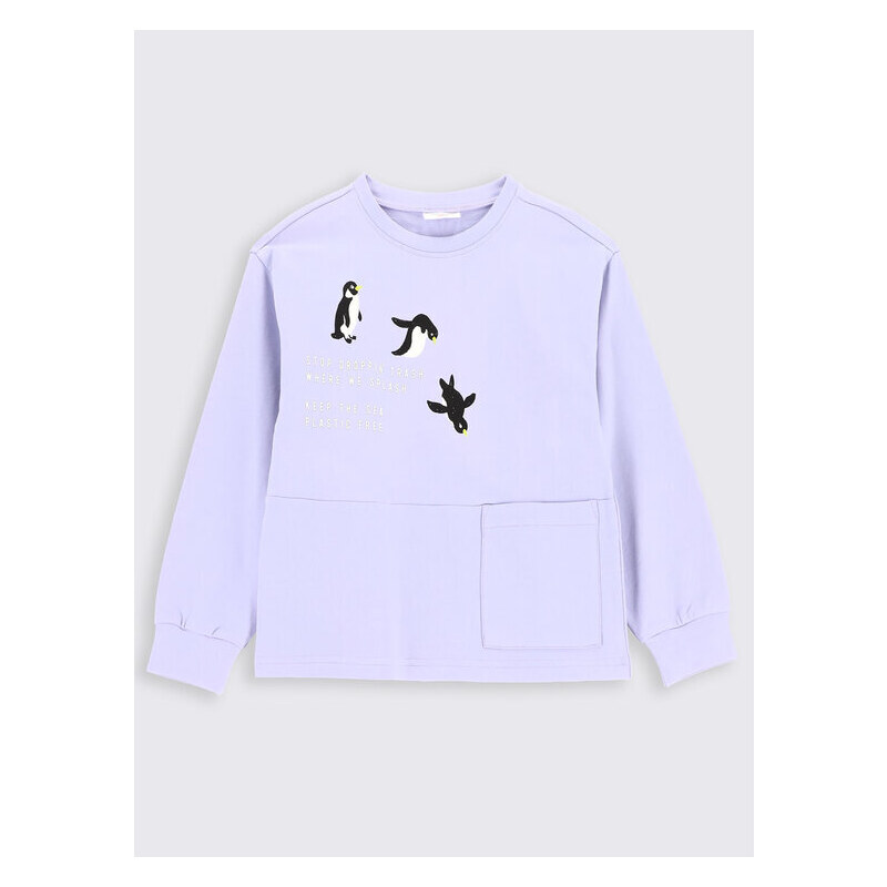 Mikina Coccodrillo 45468441